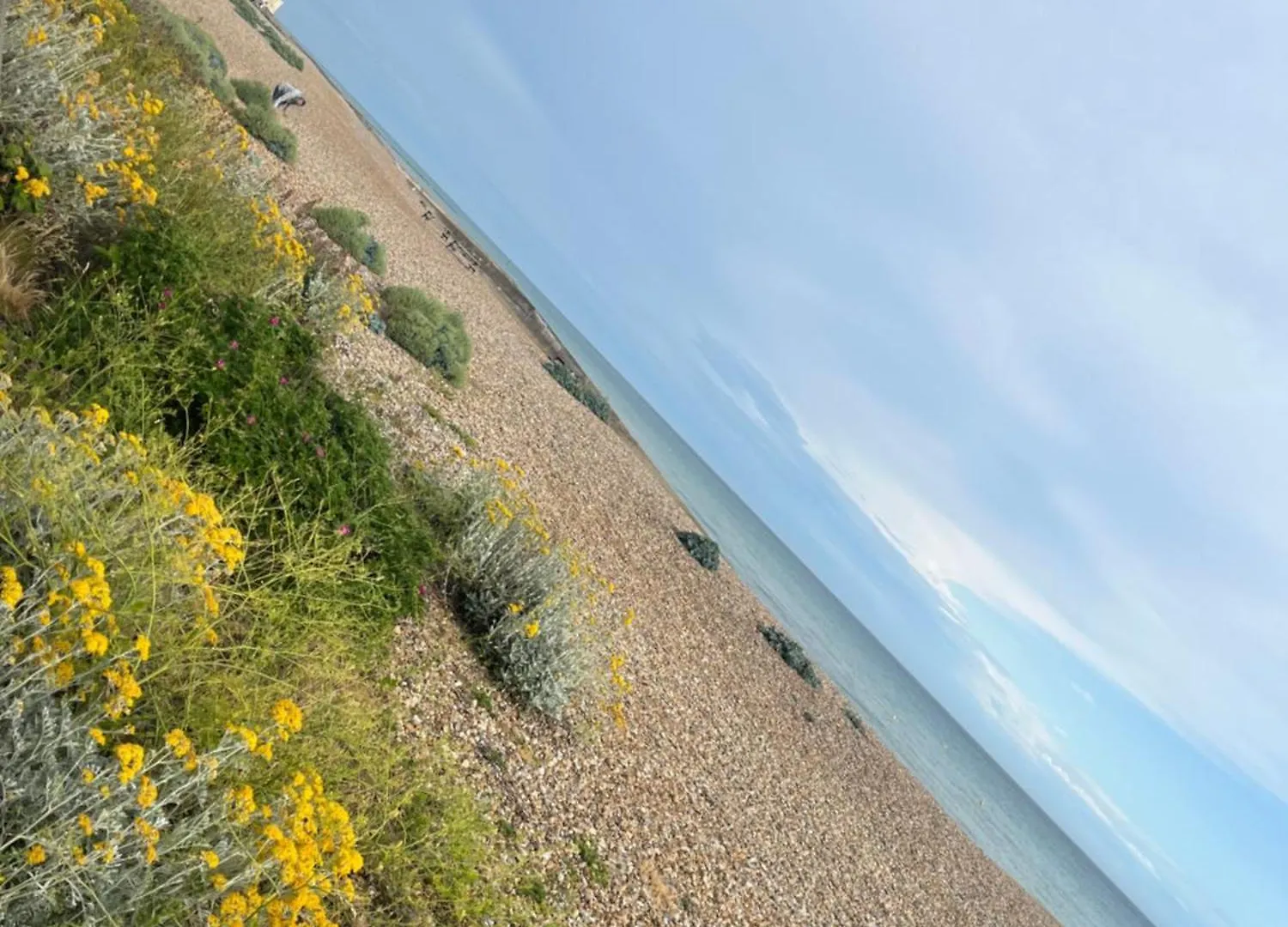 Saltdean Stay Brighton Pansiyon